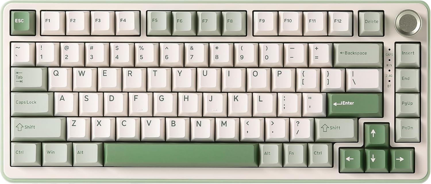 71ILf5pTlHL._AC_SL1500_.jpg
